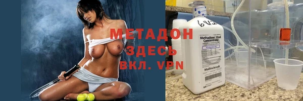 прущие грибы Пестово