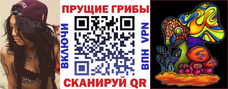 Галлюциногенные грибы мицелий  гидра онион  Кулебаки 